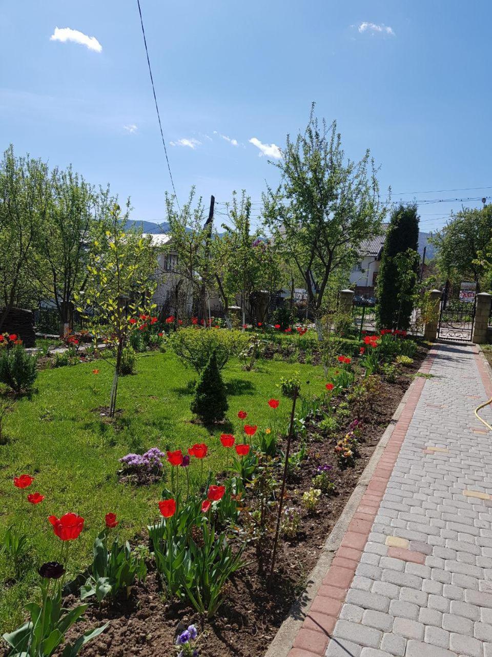 Guest House Viktoria Yaremche Exterior foto